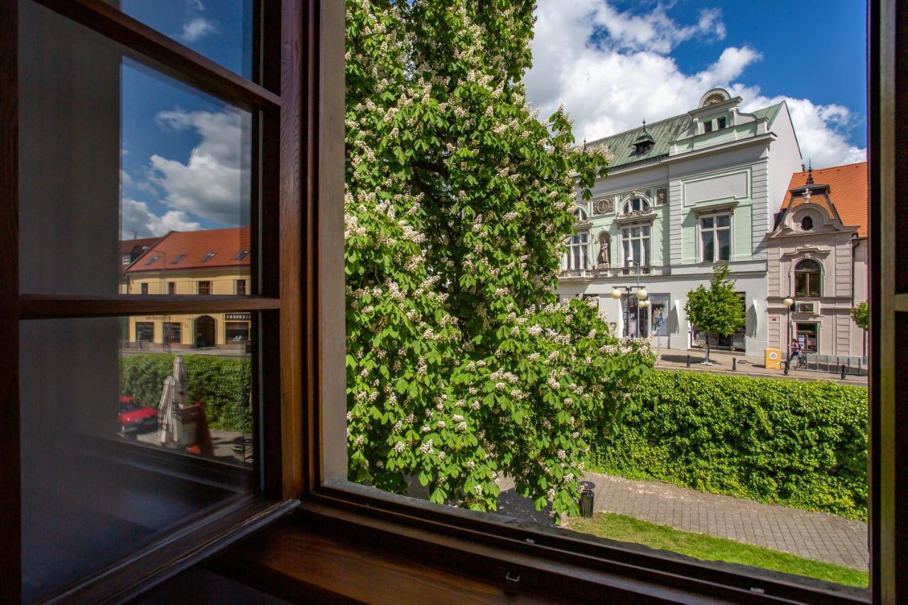 Castle Hotel & Wellness Poděbrady Esterno foto